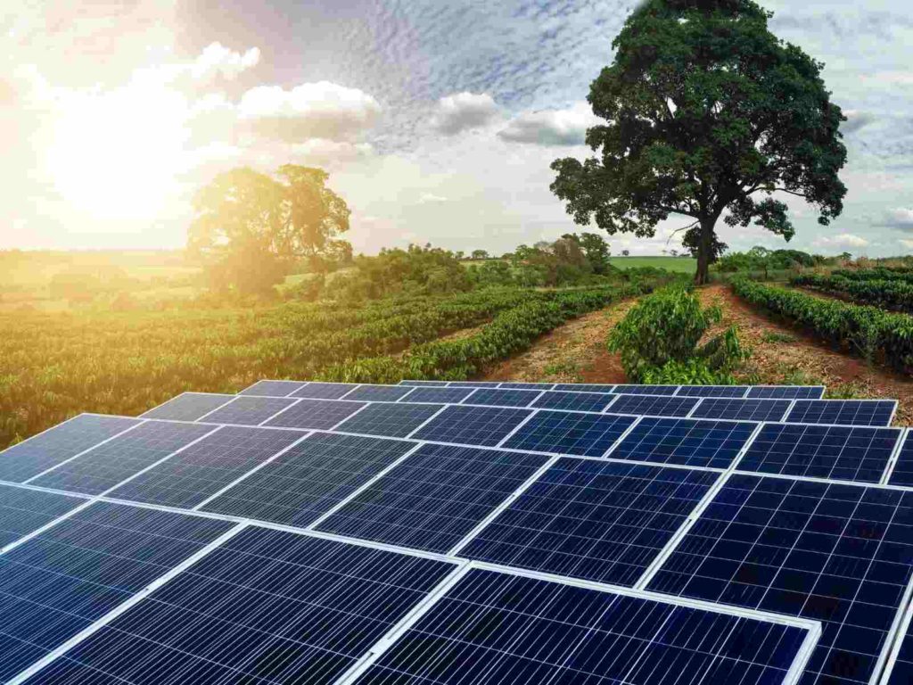 Energia Solar na Agropecuária