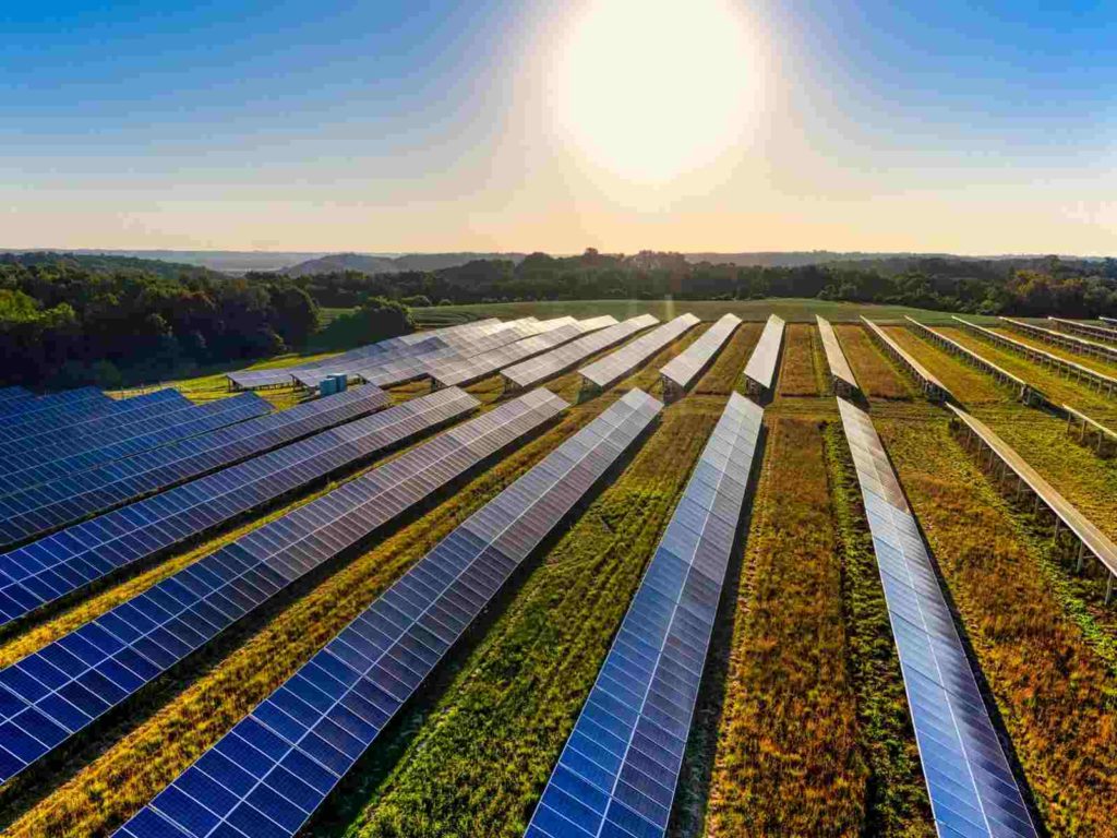 Energia Solar na Agropecuária