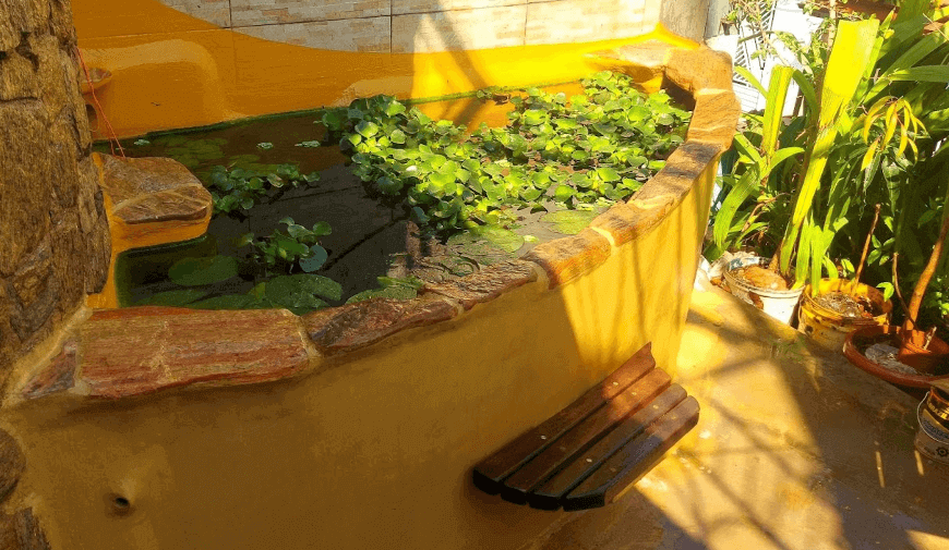 Tanque de Peixe - Projeto HumaHorta